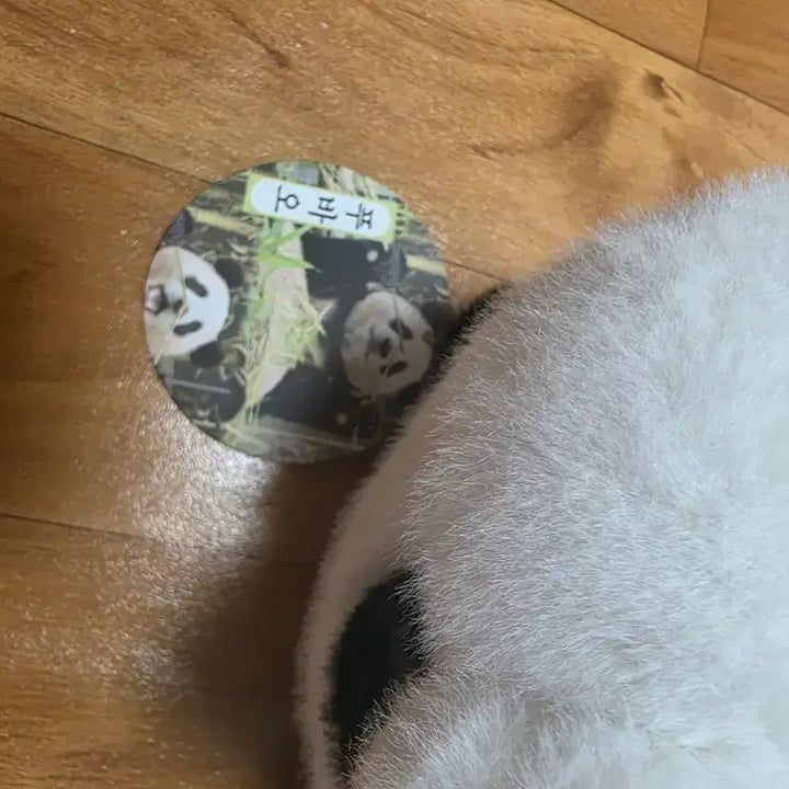 [BUNJANG] Fu Bao Panda Plush Doll / 푸바오 판다 봉제인형 팬더 인형 동물인형 캐릭터인형