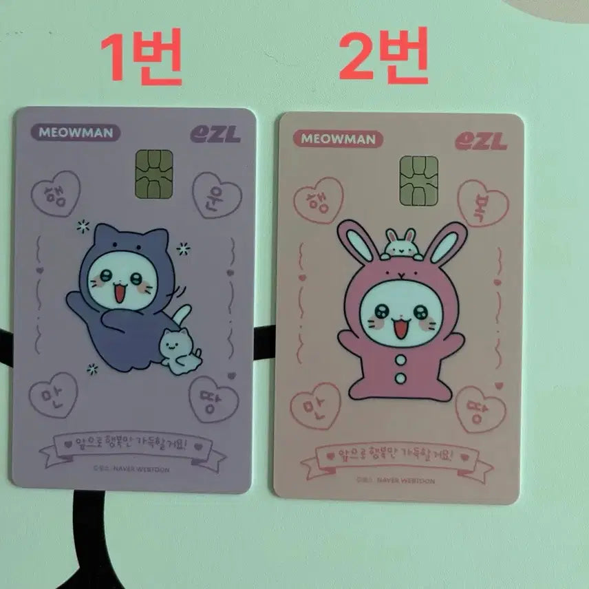 [BUNJANG] Chunbae &amp; Friends E-Zel Transit Card / 춘배와친구들 이즐 교통카드