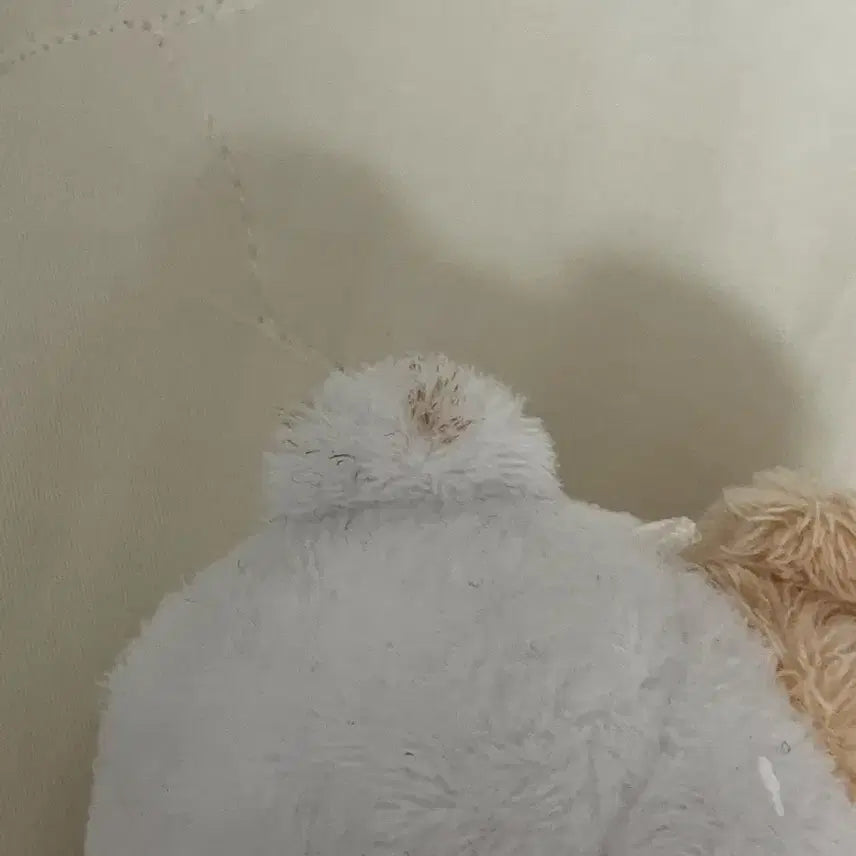 [BUNJANG] ENHYPEN Heeseung Evan Myomyohi Doll / (전)엔하이픈 희승 에반 묘묘히