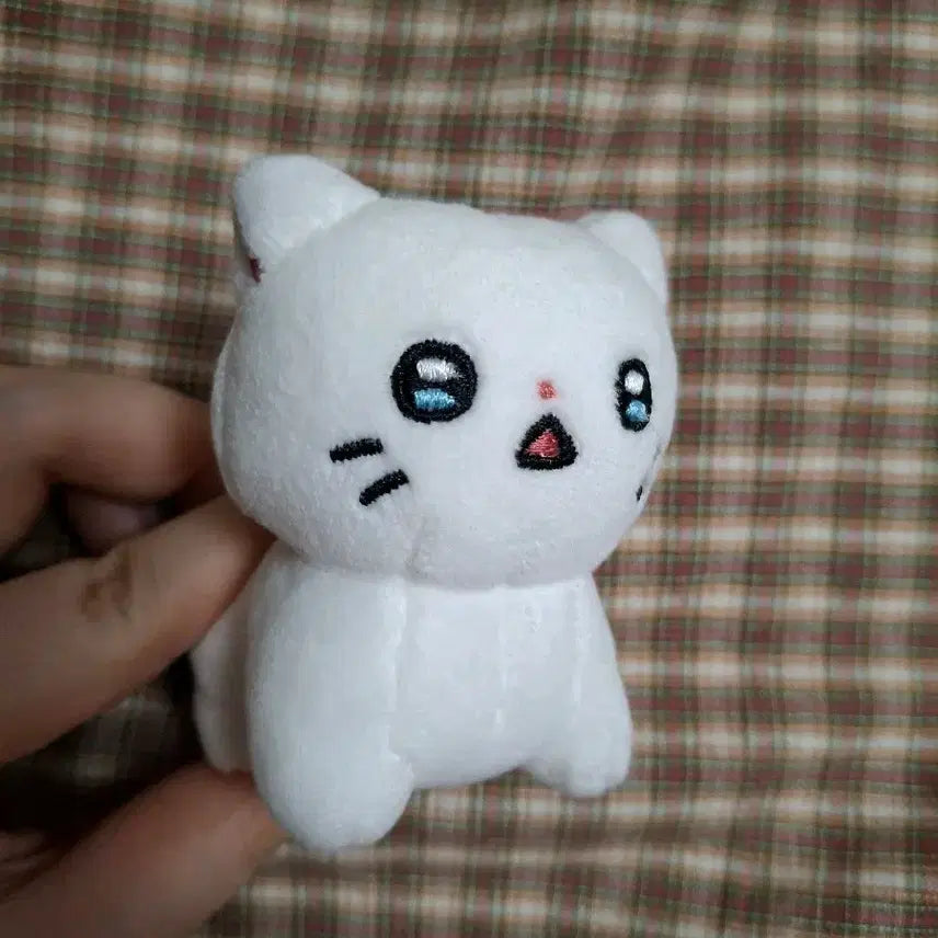 [BUNJANG] Nyah-han Man Choonbae Doll / 냐한남자 춘배 인형