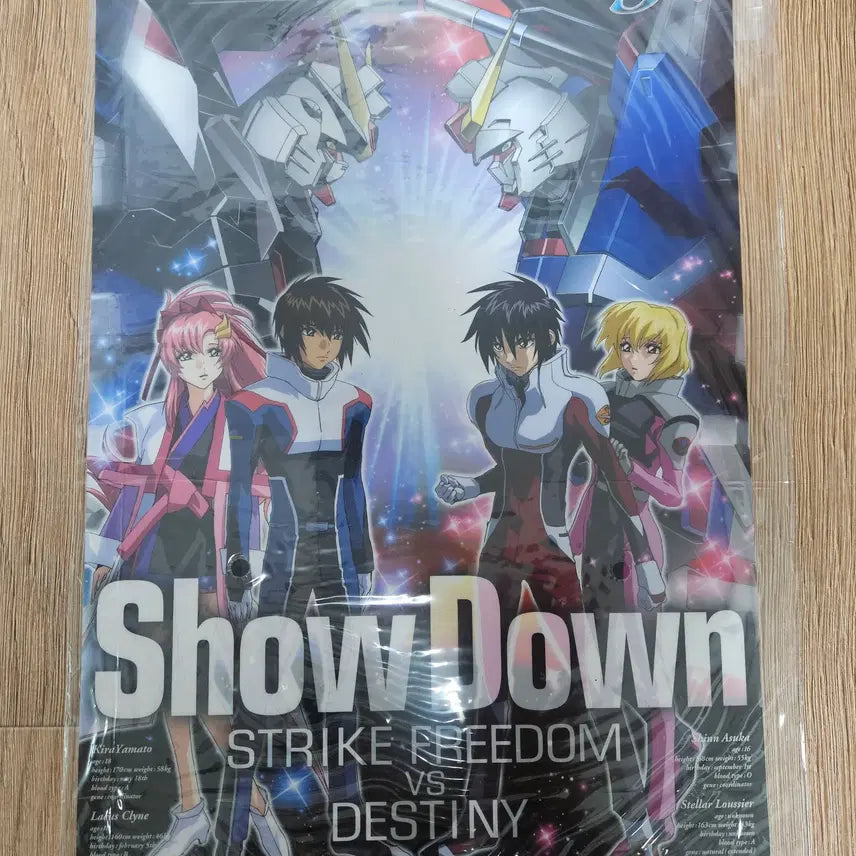 [BUNJANG] Gundam Seed Destiny Limited Edition Poster / 건담 시드, 데스티니 쇼다운 한정판 포스트 팝니다