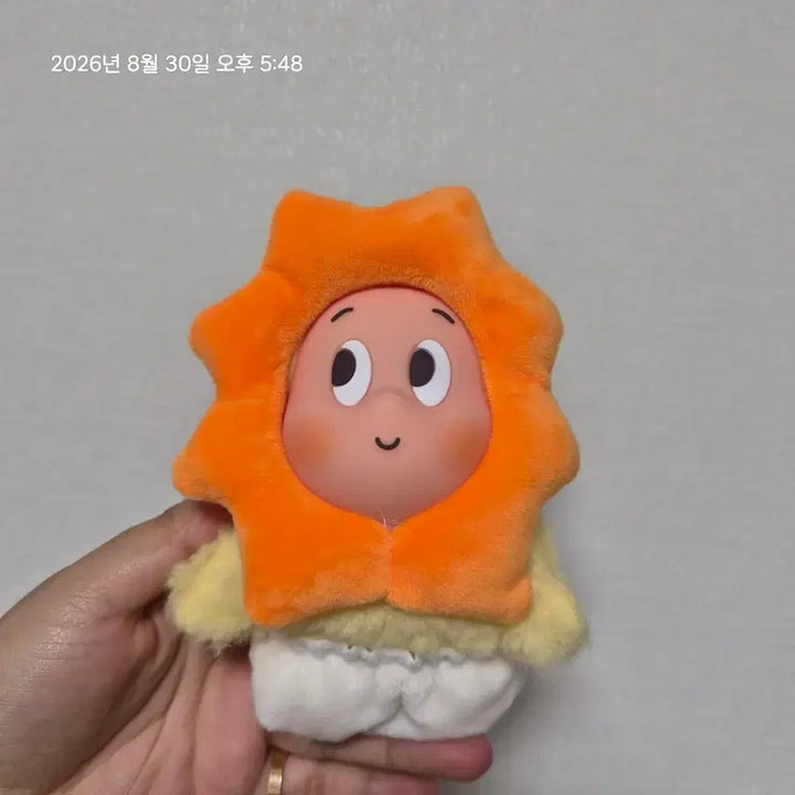 [BUNJANG] Twinkle Twinkle Little Star Plush Toy / 반짝반짝 작은별 (정품x)