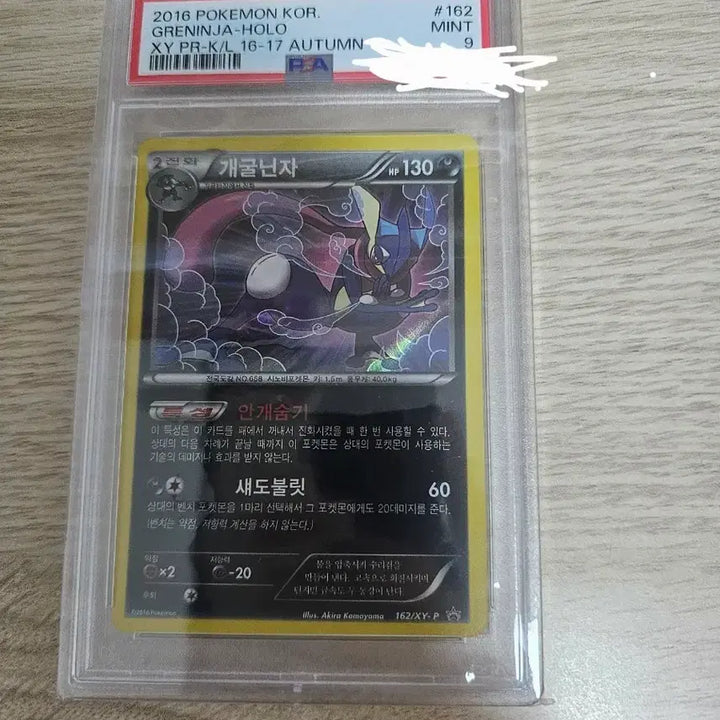 [BUNJANG] Greninja PSA 9 Promo Bundle Set / 개굴닌자 psa 9 프로모 일괄들
