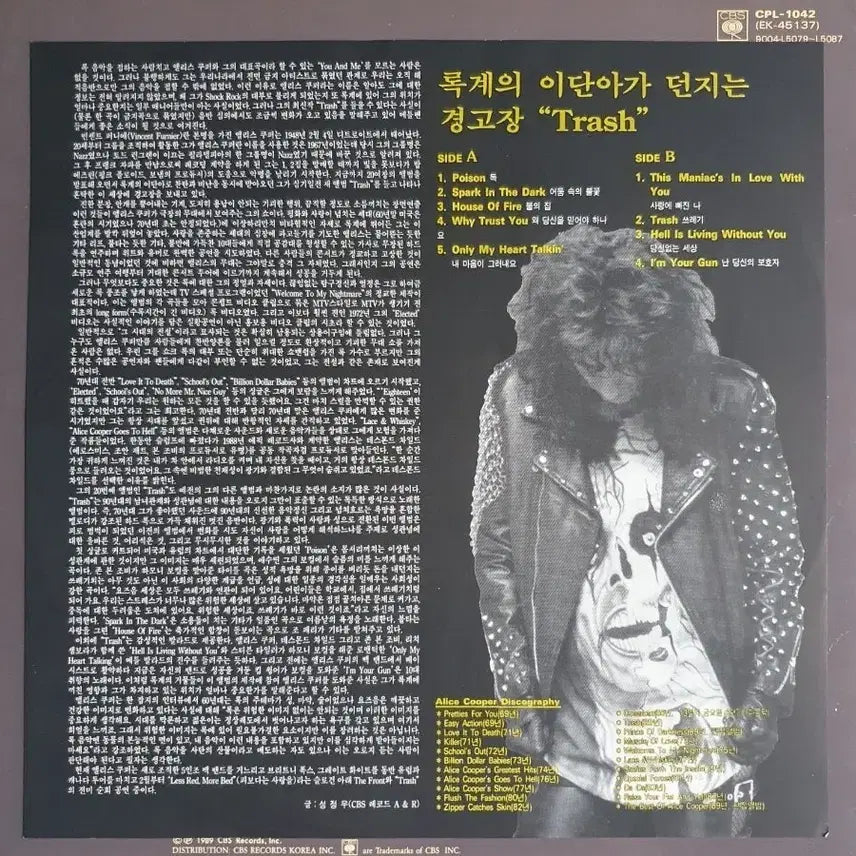 [BUNJANG] Alice Cooper 2x LP Bundle / ALICE COOPER LP2장