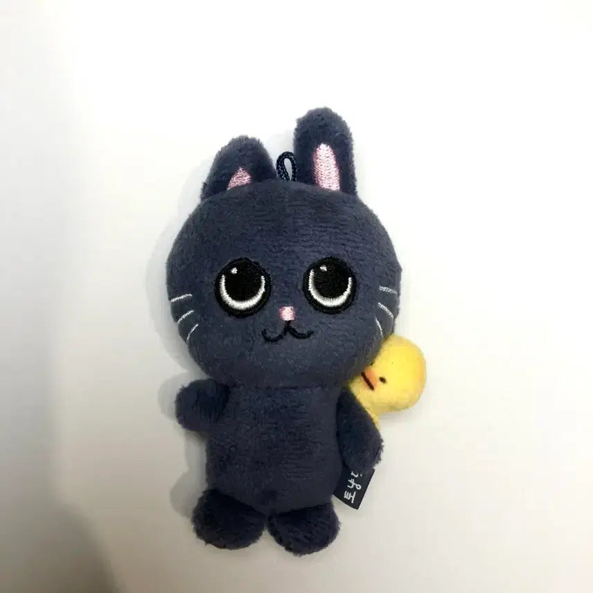 [BUNJANG] RIIZE Wonbin Tonyangdeok 8cm Plush / 라이즈 원빈 토냥덕 8cm