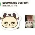 [BUNJANG] Park Ji Hoon "So Sim Ei" Face Cushion (Sealed, Photocard Included) / 미개봉 포카포함 박지훈 소심이 페이스 쿠션