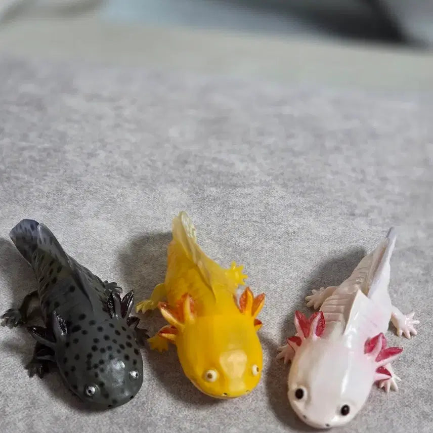 [BUNJANG] Axolotl 3-Piece Figure Set / 우파루파 3종 피규어