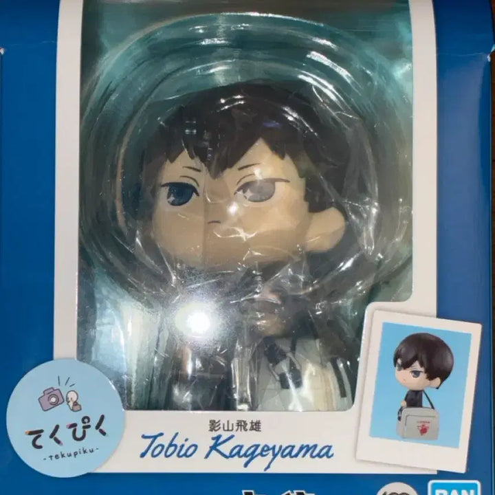 [BUNJANG] Haikyuu!! Kageyama Tobio Display Figure / (개봉전시품) 하이큐 테쿠피쿠 카게야마 토비오