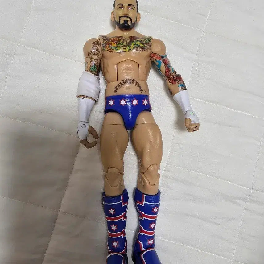 [BUNJANG] CM Punk Wrestling Figure WWE / CM펑크 레슬링 피규어 wwe