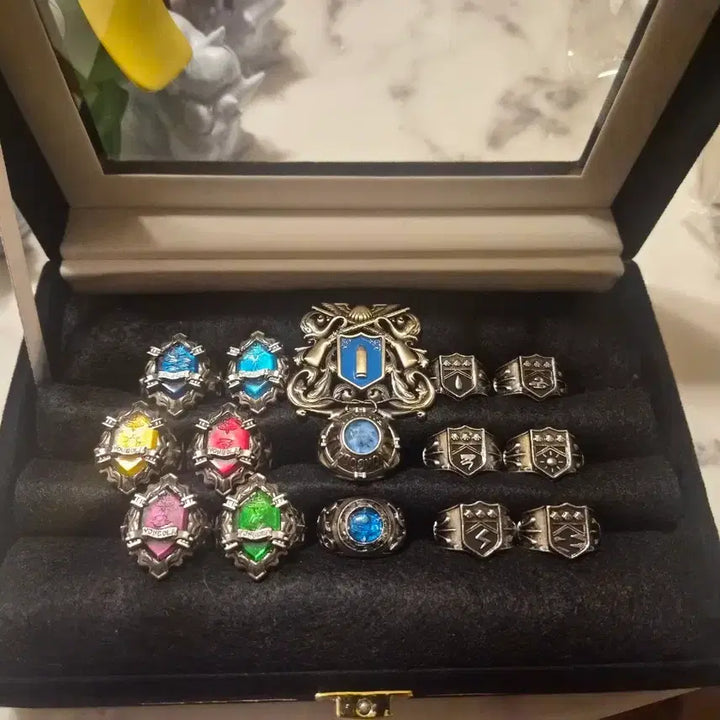 [BUNJANG] Katekyo Hitman Reborn! Vongola Ring DX Future Arc Ring First Edition with Detachable Emblem / 50만 일본 가히리 기정교사 히트맨 리본  봉고레링dx 미래편링초판 +탈착엠블럼