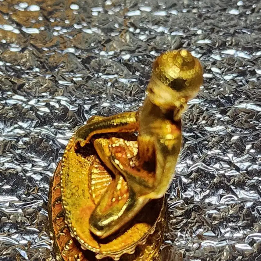 [BUNJANG] Antique Buddha Statue / 오래전에 만들어진 불상