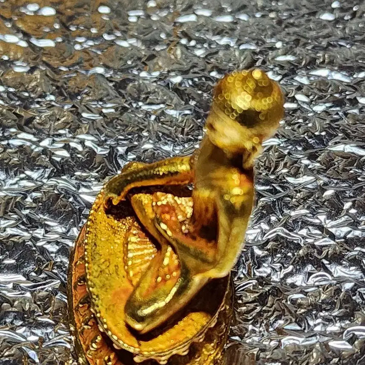 [BUNJANG] Antique Buddha Statue / 오래전에 만들어진 불상
