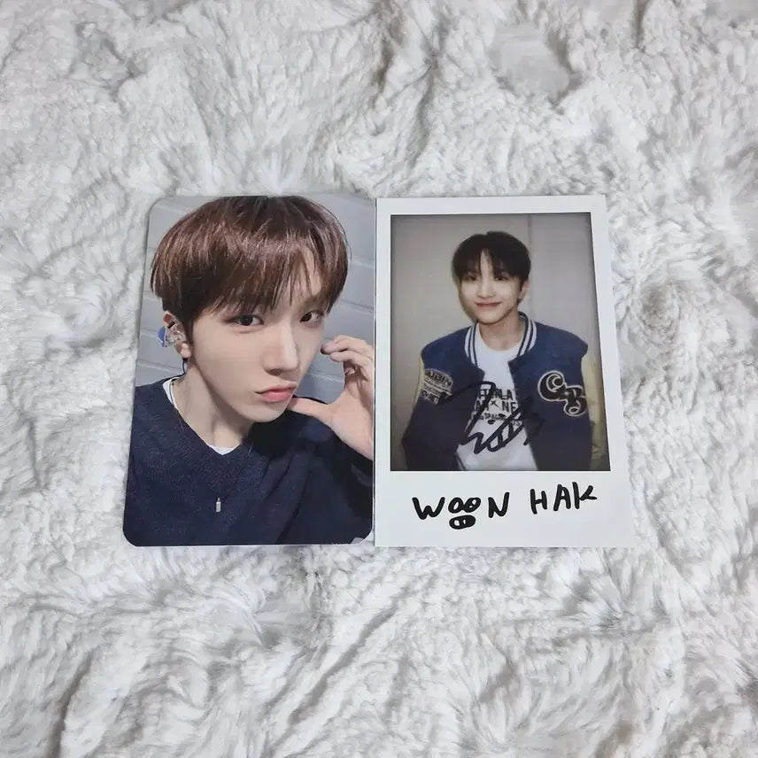 [BUNJANG] BOYNEXTDOOR How Lucky Draw Polarphotocard Unhak Bundle Set / 보이넥스트도어 보넥도 얼윈파 HOW 사운드웨이브 팝업 카페 럭드, 폴라 운학 양도