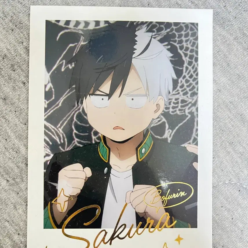 [BUNJANG] WinBre Sakura Postcard / 윈브레 사쿠라 엽서 팔아요!