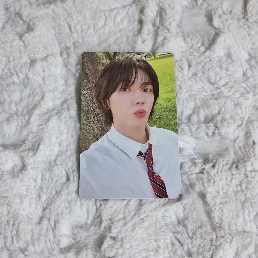 [BUNJANG] BOYNEXTDOOR Sung-ho M2U Lucky Draw Photocard / 보이넥스트도어 보넥도 WHY M2U 엠투유 럭드 성호 양도