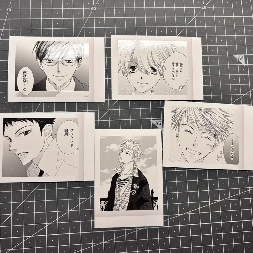 [BUNJANG] Ouran High School Host Club Original Series Pache Trading Cards Bundle Set / 오란고교 원작 파샤 일괄판매