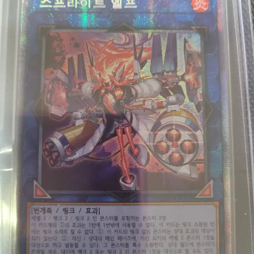 [BUNJANG] Yu-Gi-Oh! Sprite Elf French Card / 유희왕 스프라이트 엘프 프싴