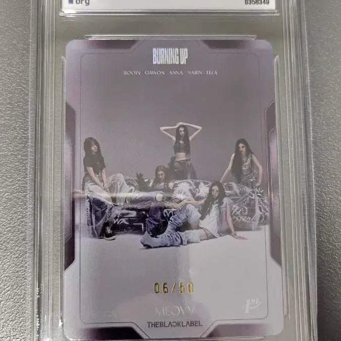 [BUNJANG] Tereka Miyao Group Graded Card Limited Edition 50 / 테레카 미야오 단체 50한정 등급카드 등카 팝니다.