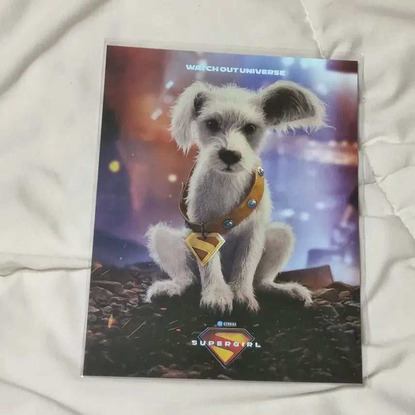 [BUNJANG] Supergirl Art Card / 슈퍼걸 아트카드