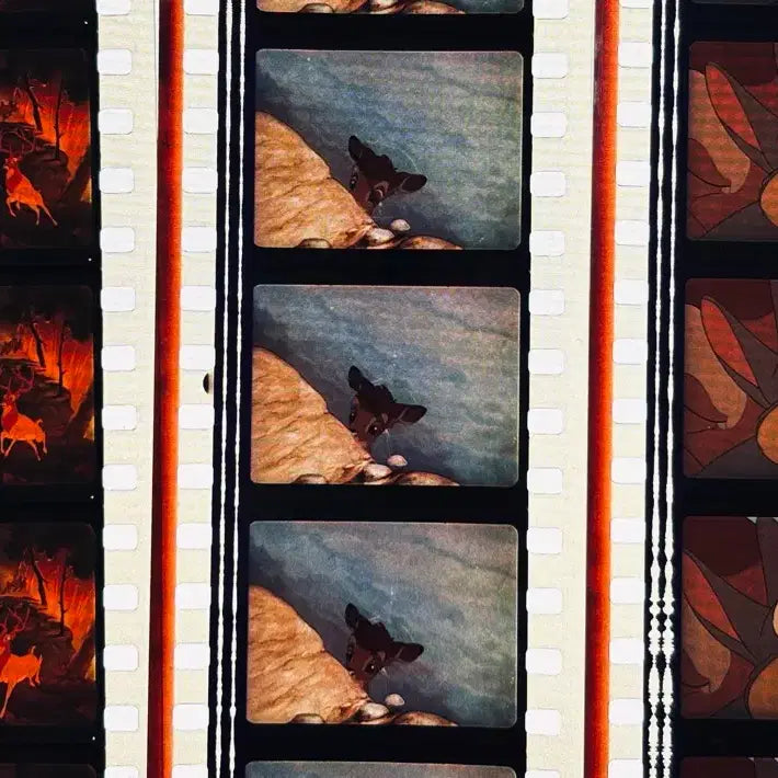 [BUNJANG] Disney Bambi Film Cut (6 Frames) / 밤비 필름컷 6매 / 영화 필름 / 디즈니