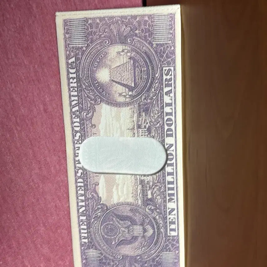 [BUNJANG] Million Dollar Commemorative Bill Wallet / 1000만 달러 기념화폐 지갑