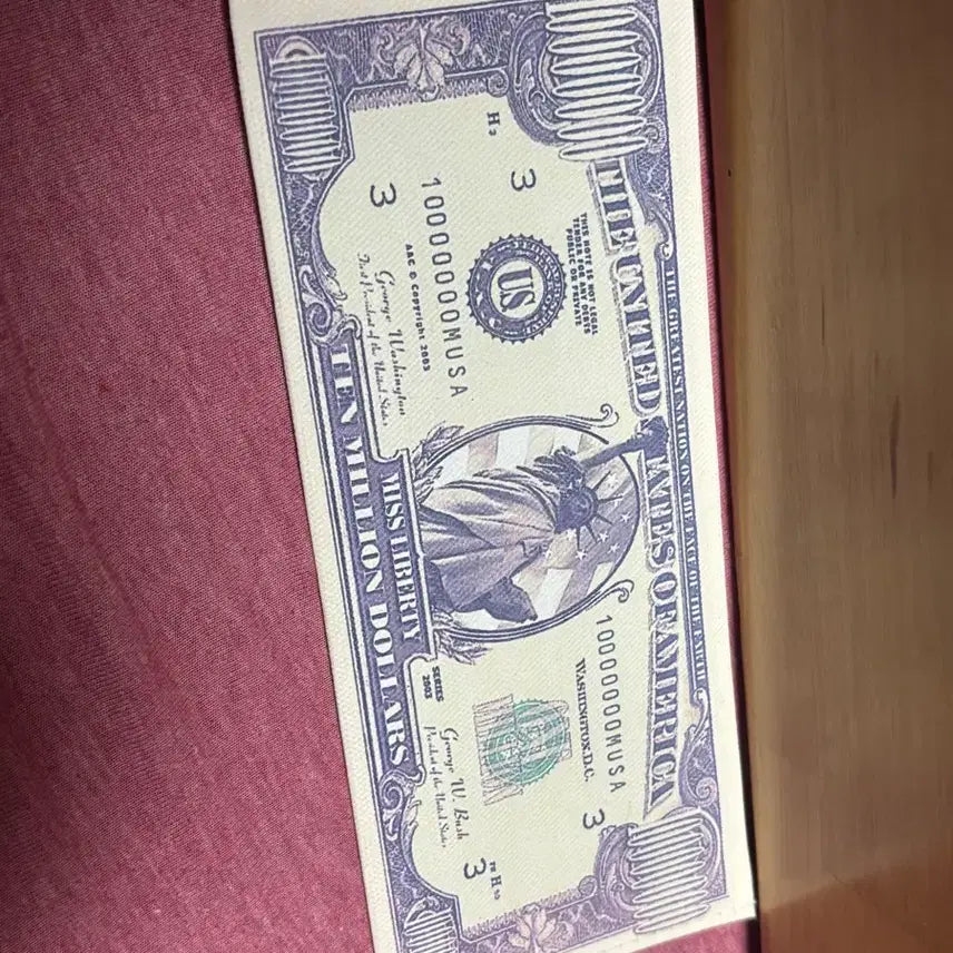 [BUNJANG] Million Dollar Commemorative Bill Wallet / 1000만 달러 기념화폐 지갑