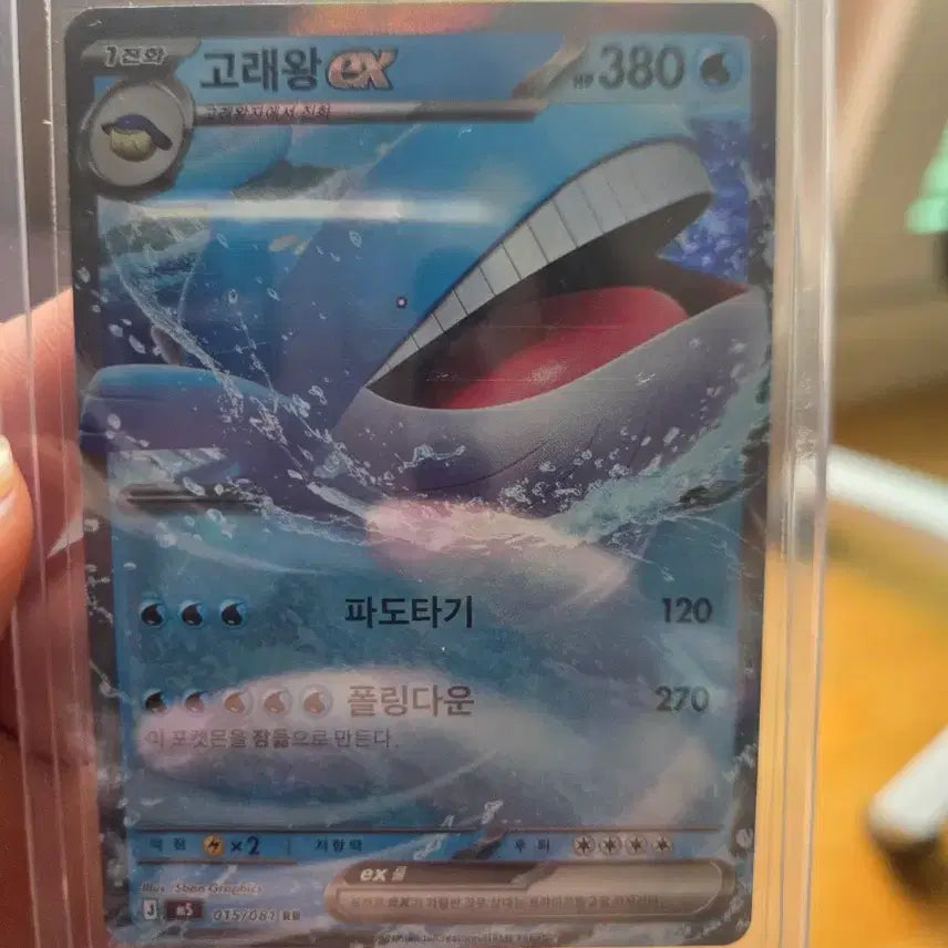 [BUNJANG] Whale King EX 380 RR Card / 고래왕 EX 380 RR카드