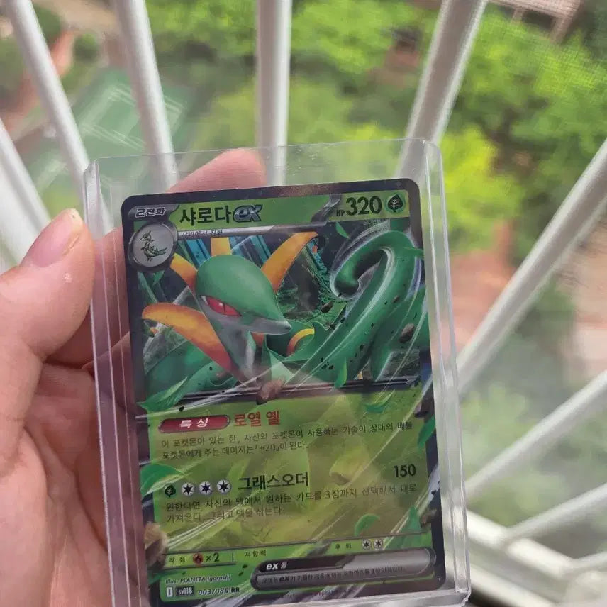 [BUNJANG] Charizard EX Pokémon RR Card / 샤로다 EX 포켓몬 RR카드