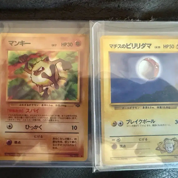 [BUNJANG] Pokemon Mankey, Voltorb Old Back Vintage Card / 포켓몬 카드 망키 찌리리공 올드백 빈티지 카드