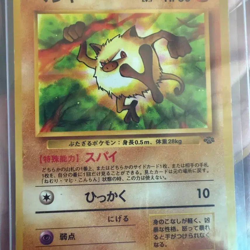 [BUNJANG] Pokemon Mankey, Voltorb Old Back Vintage Card / 포켓몬 카드 망키 찌리리공 올드백 빈티지 카드
