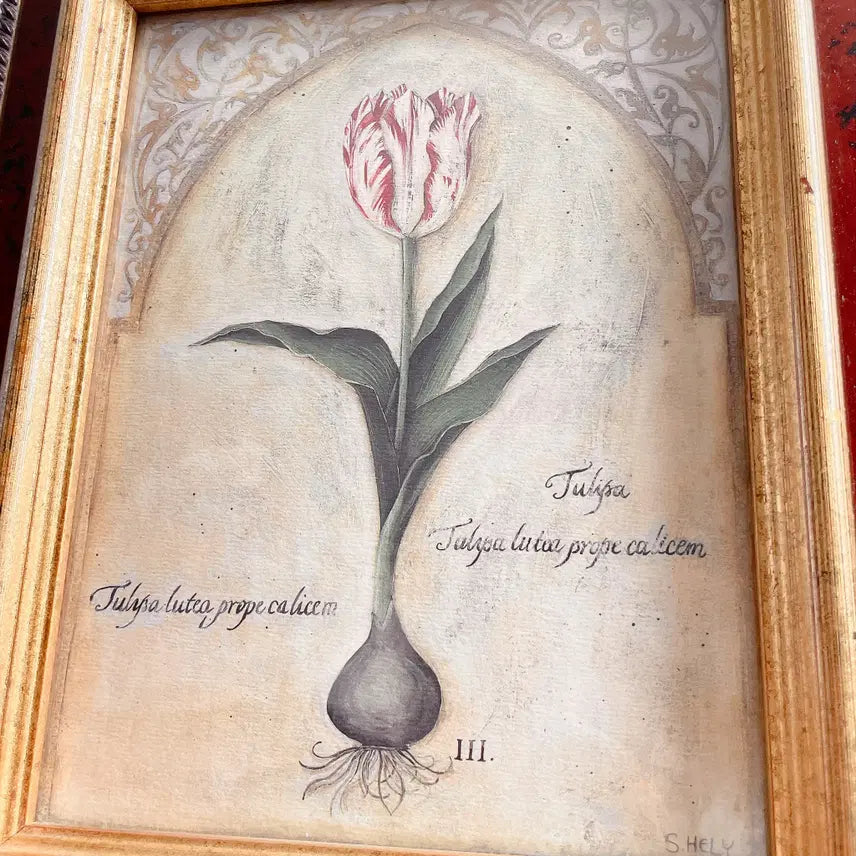 [BUNJANG] Antique Tulip Frame / 앤틱 튤립 액자