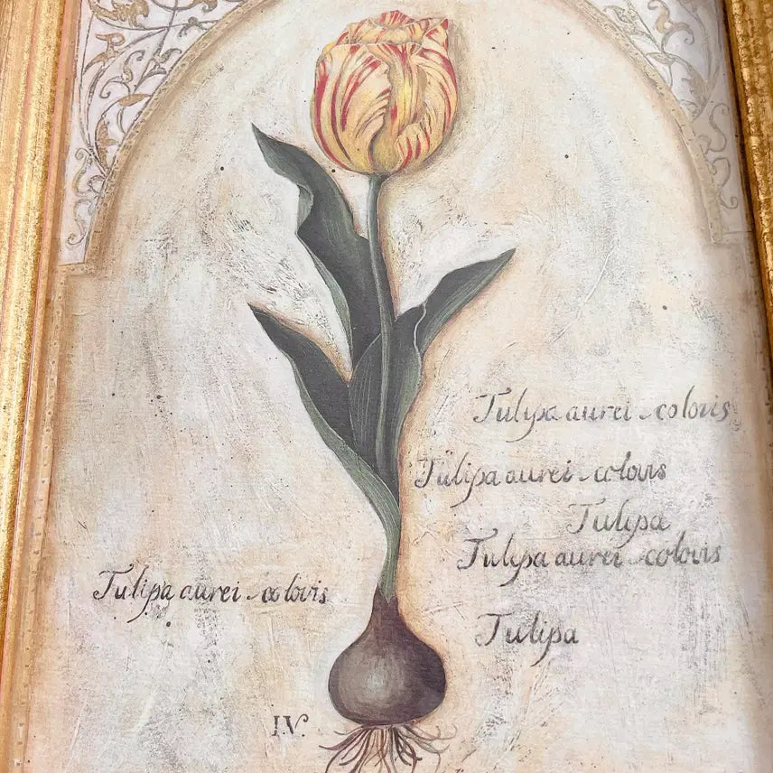 [BUNJANG] Antique Tulip Frame / 앤틱 튤립 액자