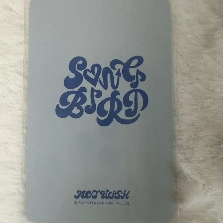 [BUNJANG] NCT WISH Yushi Songbird Photocard / 엔시티위시 유우시 송버드 포카