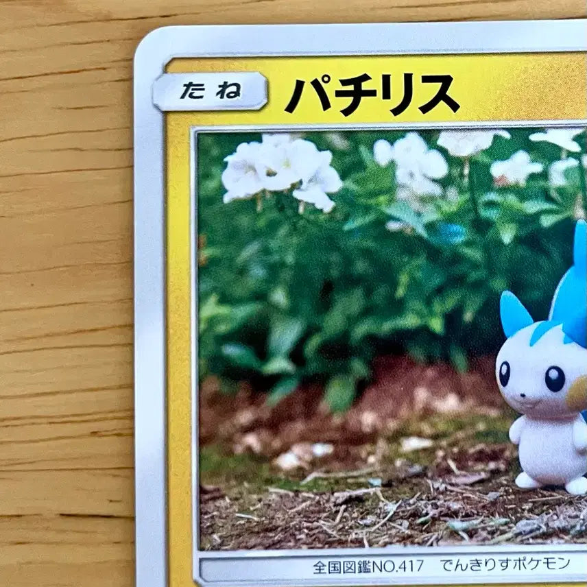 [BUNJANG] Pokemon Card Plasma Spark Pachirisu 028/060 / 일판 포켓몬카드 플라즈마스파크 파치리스 028/060