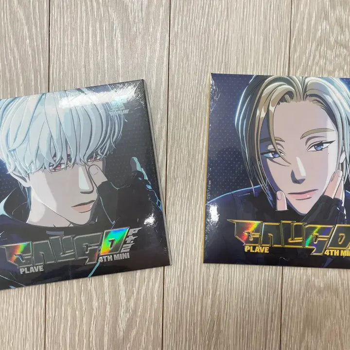 [BUNJANG] Plaeyv CDP Voice Keyring + ID Pass Bundle Set / 원가양도) 플레이브 cdp 보이스키링 + 아이디패스 일괄판매