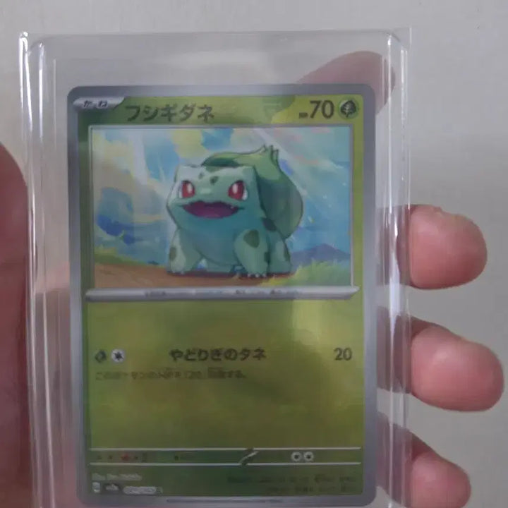 [BUNJANG] Pokemon 151 Bulbasaur Master Ball Holo Japanese Edition / 일본판 151 이상해씨 마스터볼 홀로
