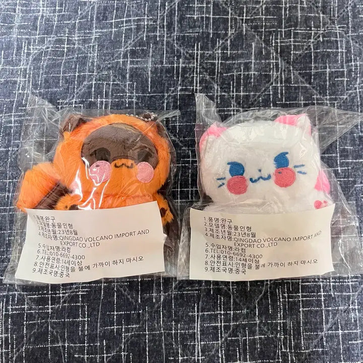 [BUNJANG] ZB1 Zhang Hao &amp; Sung Hanbin Plush Dolls Bundle Set / 제베원 장하오 짱구리 성한빈 냥비니 인형