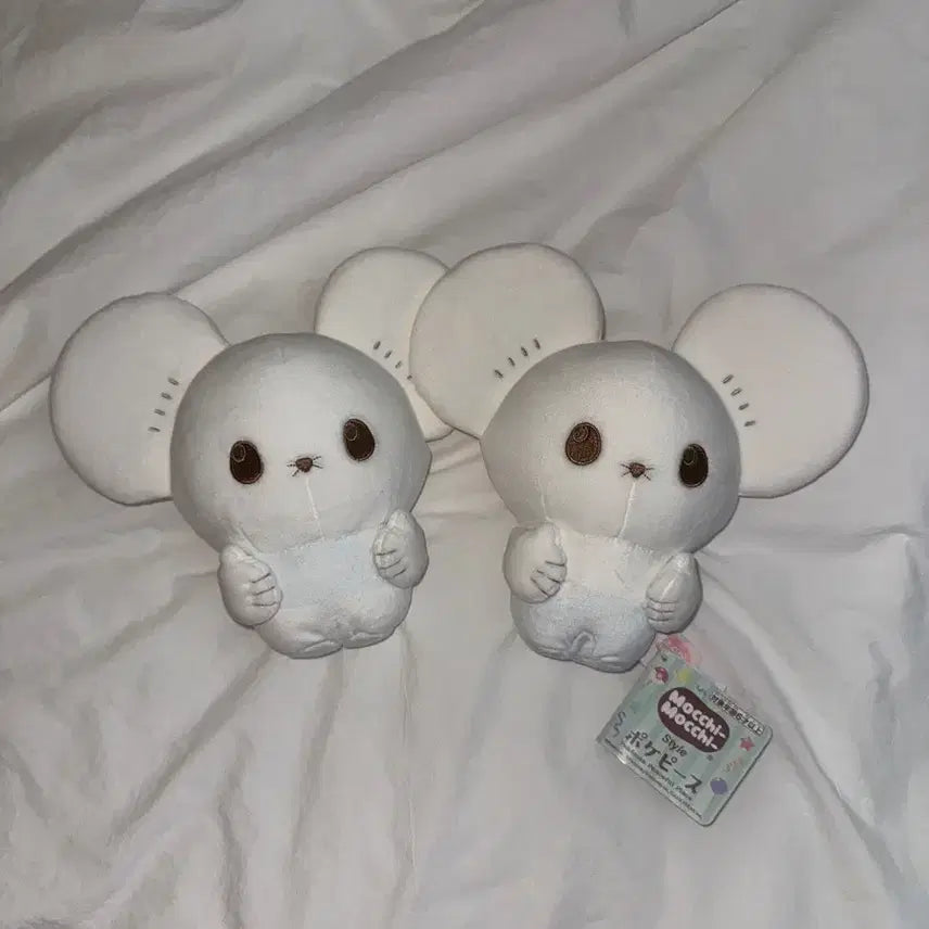 [BUNJANG] Mocchi Mocchi Official Sentret Plush / 포켓몬 두리쥐 인형
