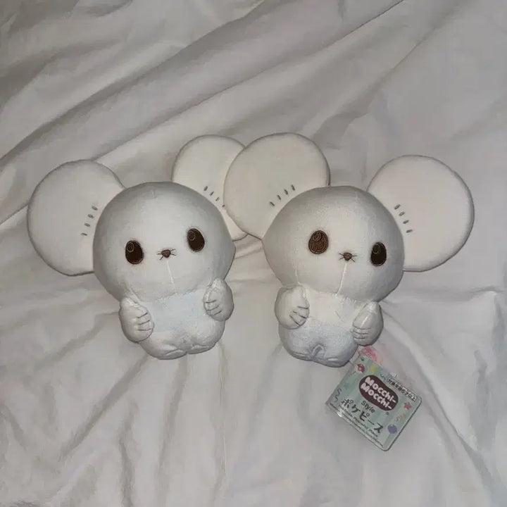 [BUNJANG] Mocchi Mocchi Official Sentret Plush / 포켓몬 두리쥐 인형