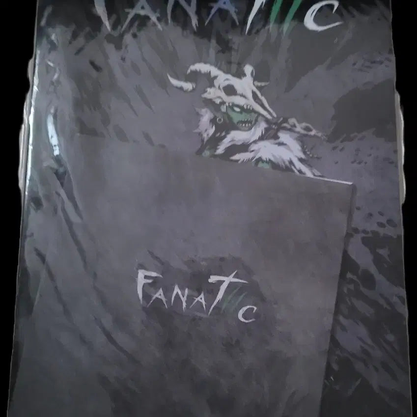 [BUNJANG] Fanatiic 2 Album / 화나틱2 (fanatiic) 앨범 판매합니다