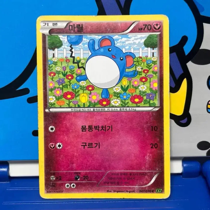 [BUNJANG] Ancient Pokémon Card Marill XY 347/97 / (고대 포켓몬카드) 마릴 XY 347/97