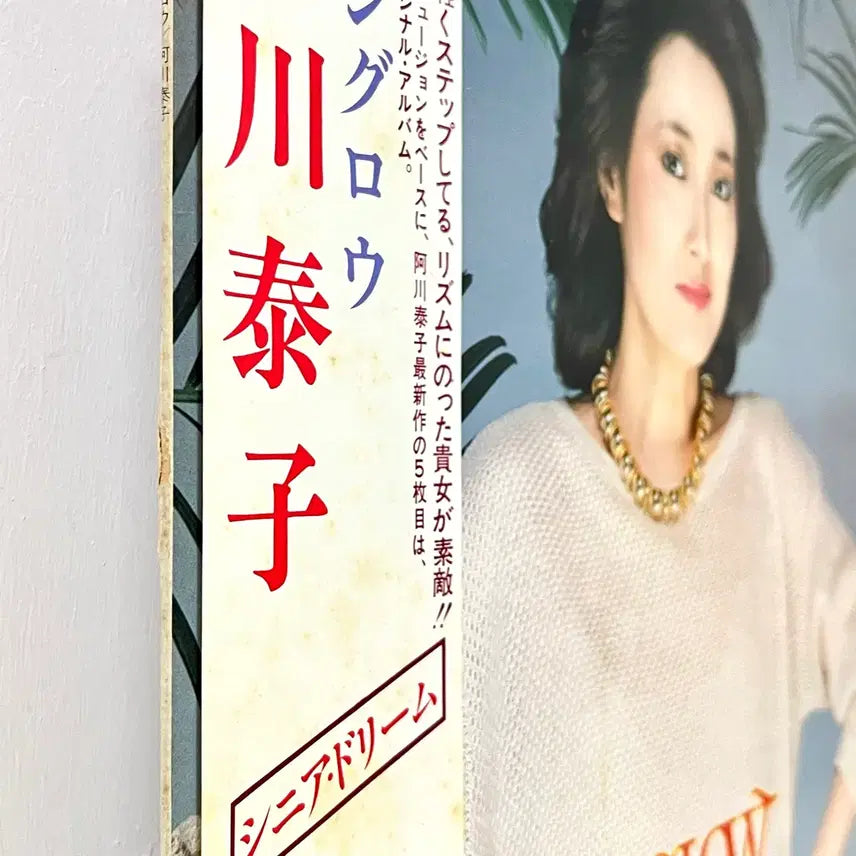 [BUNJANG] Yasuko &amp; Love-Bird City Pop LP - Sunglow / 시티팝LP 아가와 야스코 Yasuko Love-Bird -Sunglow