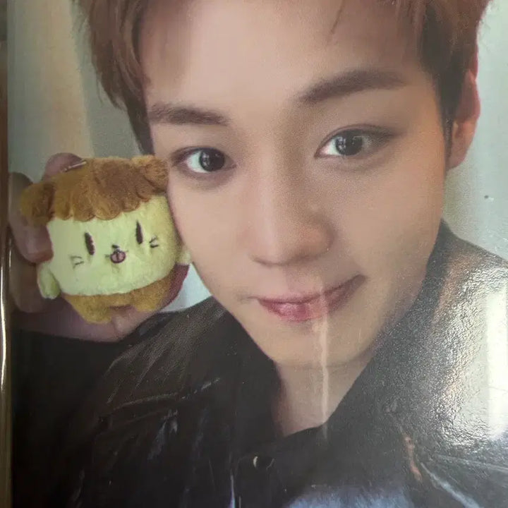 [BUNJANG] Park Jihoon Bboomi Plush + Photocard / 박지훈 뿌움이