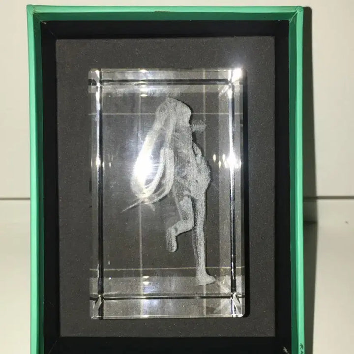 [BUNJANG] Hatsune Miku 3D Crystal Object Laser Engraved Figure / 급전) 하츠네 미쿠 3D 크리스탈 오브젝트 레이저 각인 조형물