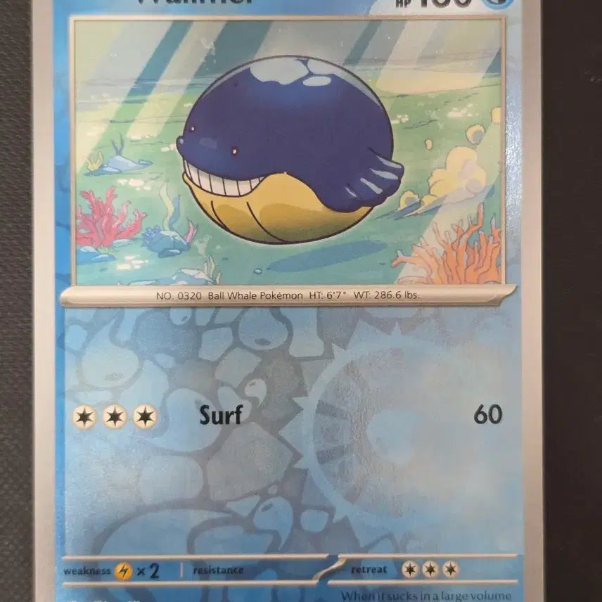 [BUNJANG] Pokemon North America Card Whale Prince / (포켓몬) 톡하면 터질꺼 같은 고래왕자 북미카드