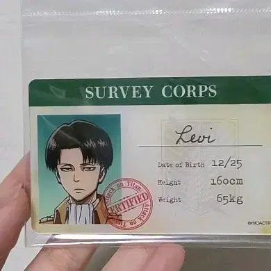 [BUNJANG] Attack on Titan Levi Ackerman ID Card Official Merchandise / 원가이하)진격의 거인 진격거 리바이 아커만 카드 아이디 id 공식 정품 굿즈