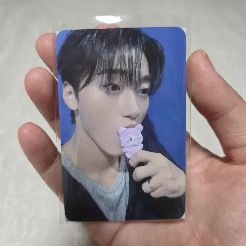 [BUNJANG] ATEEZ ANITEEZ Tiny Mini Doll San Photocard Only / 에이티즈 애니티즈 타이니 미니 산덕이 인형 포토카드만