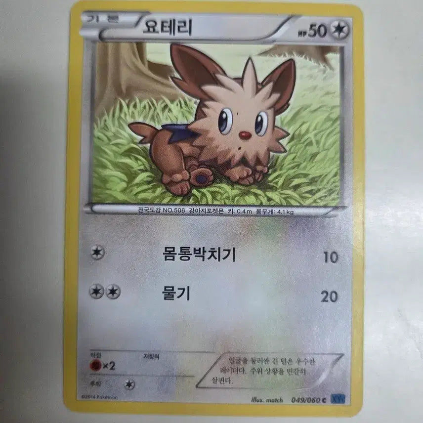 [BUNJANG] Pokemon Card XY Series Yoateri 049/060 / 포켓몬 카드 XY시리즈 요테리 049/060