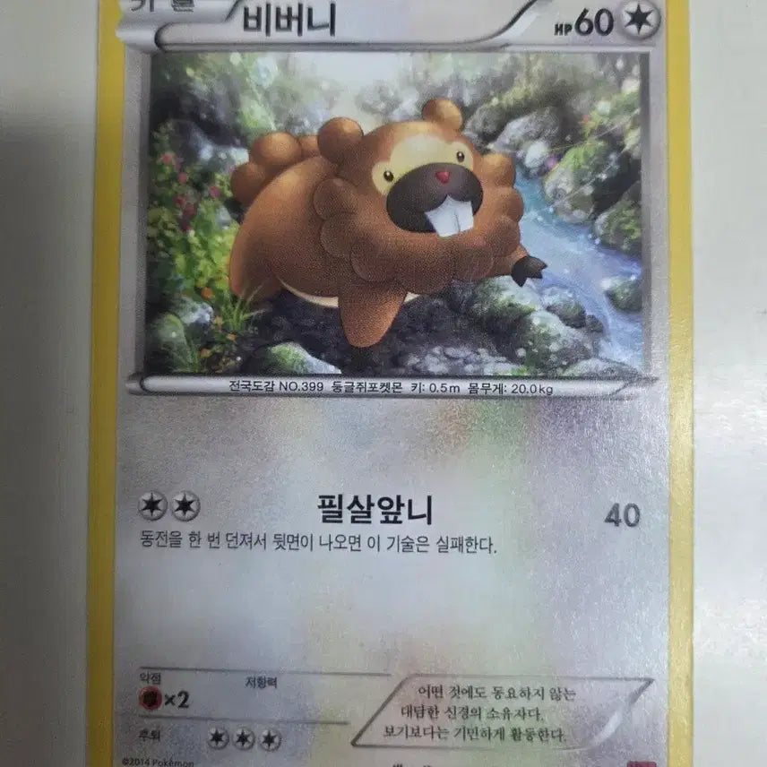 [BUNJANG] Pokemon Card XY Series Scorbunny 050/060 C / 포켓몬 카드 XY시리드 비버니 050/060 C