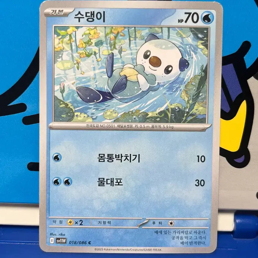 [BUNJANG] Pokemon Card Squirtle 